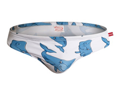 Cockatoo Whale Main Image