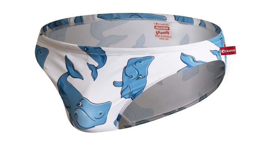 Cockatoo Whale Pattern Brief - Swimwear range at aussieBum