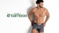 Bamboo Charcoal.mp4 Video Image