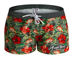 Aloha Burst Vila Main Image