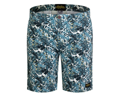 Townie Shorts Botany Main Image