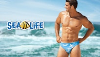 Sea Life Diver Lifestyle Image
