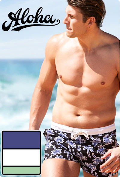Aloha Bungalow Blue Homepage Image