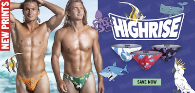 HIGH RISE Parrot Homepage Image