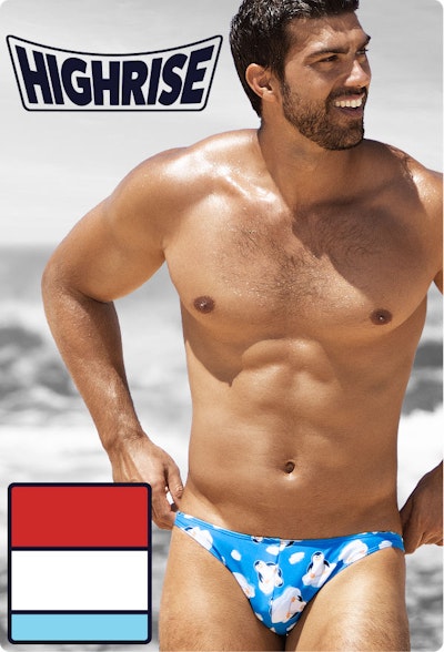 HIGH RISE Penguins Homepage Image