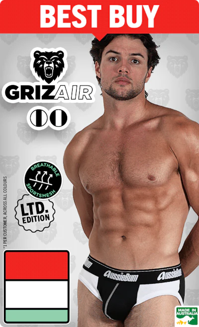 GrizAir Checker Homepage Image