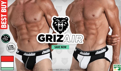 GrizAir Checker Homepage Image