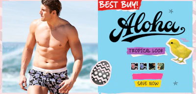 Aloha Bungalow Blue Homepage Image