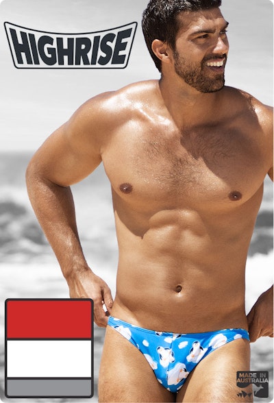 HIGH RISE Penguins Homepage Image