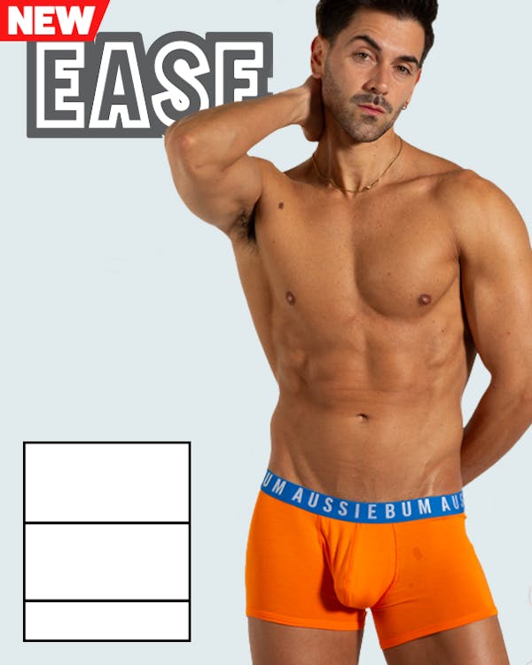 Ease Orange Homepage Image