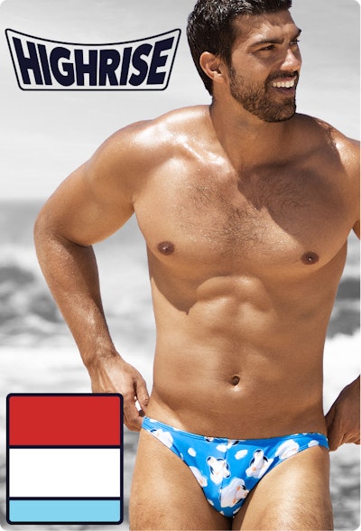 HIGH RISE Penguins Homepage Image