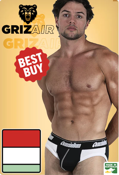 GrizAir Checker Homepage Image